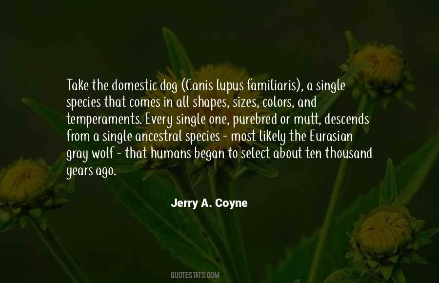 What Is Lupus Quotes #295119