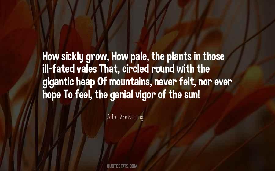 Mountain Sun Quotes #1830760
