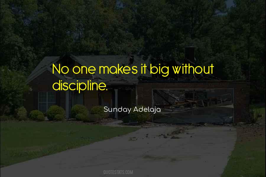 No Discipline Quotes #1186042