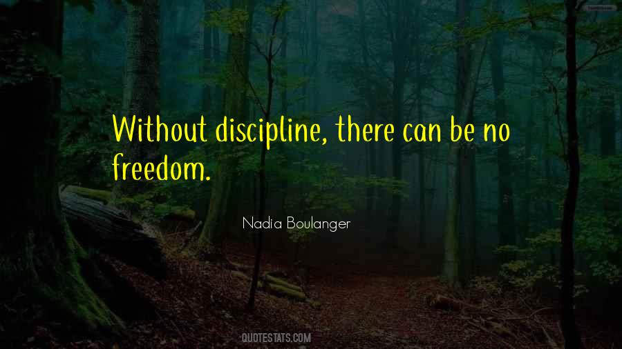 No Discipline Quotes #378282