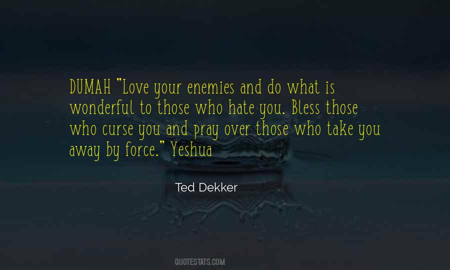 Pray For Those Who Hate You Quotes #905965