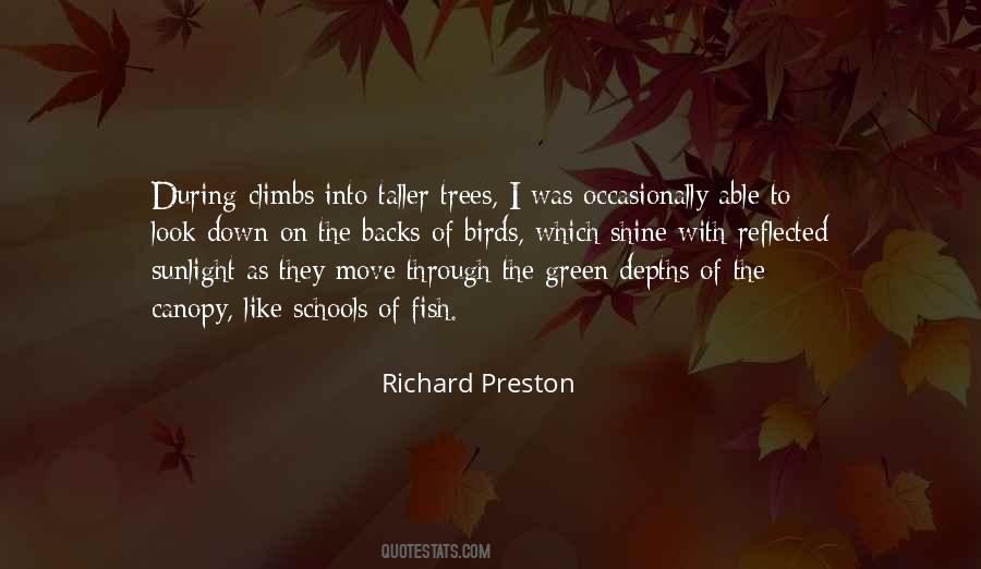 Taller Than The Trees Quotes #1662826