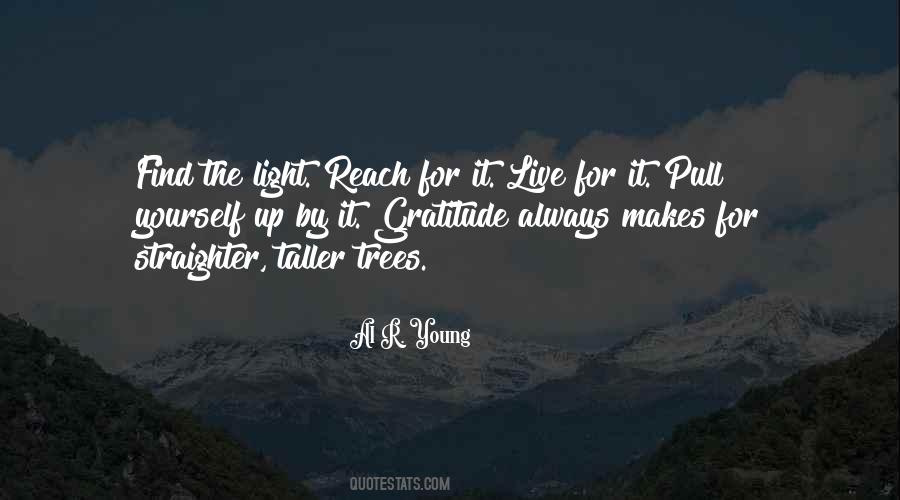 Taller Than The Trees Quotes #915008