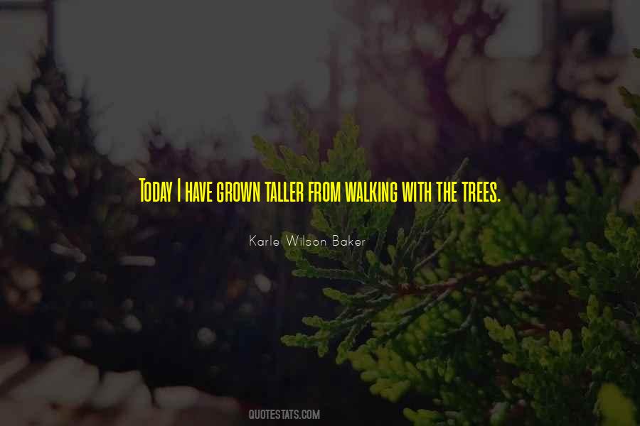 Taller Than The Trees Quotes #976669