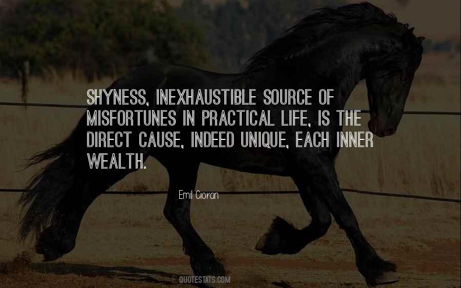 Inner Wealth Quotes #49196