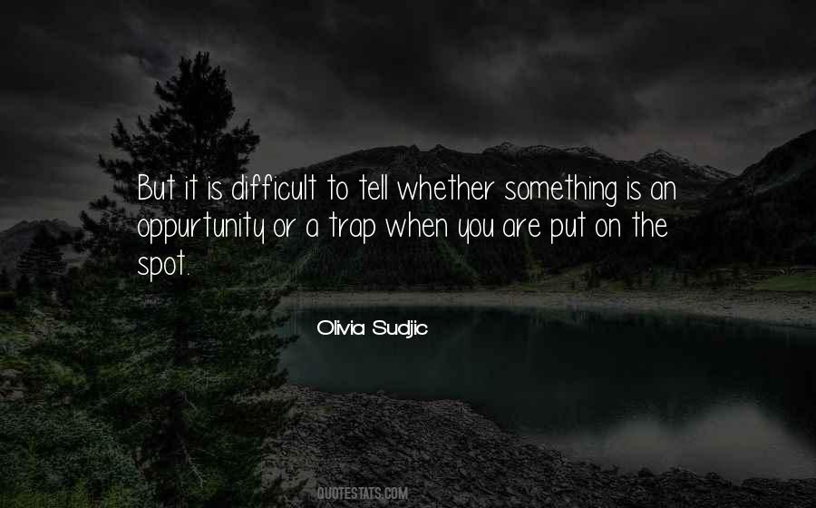 Put On The Spot Quotes #290598