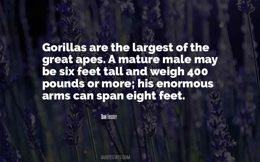 Marital Conflict Quotes #1358664