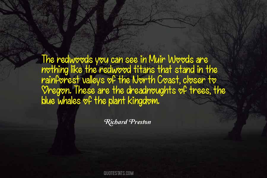 Quotes About The North Woods #178809