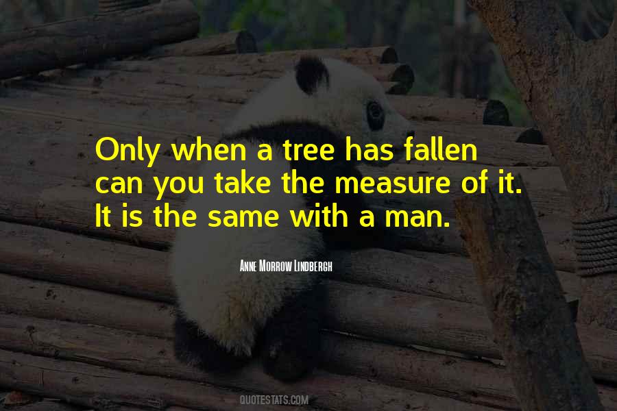 Quotes About The Measure Of Man #825970