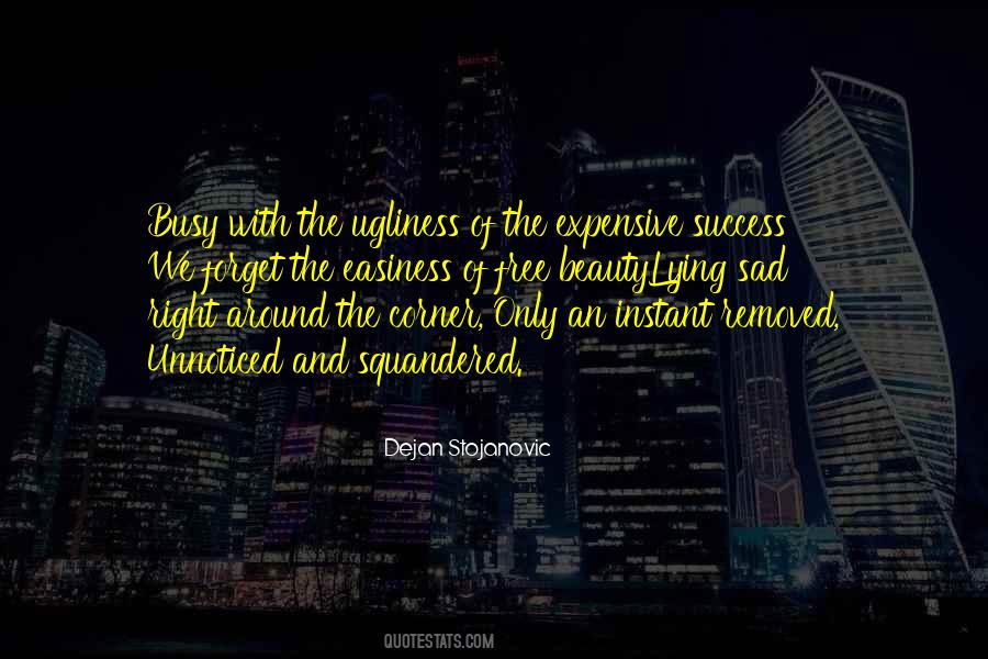 Success And Beauty Quotes #1757082