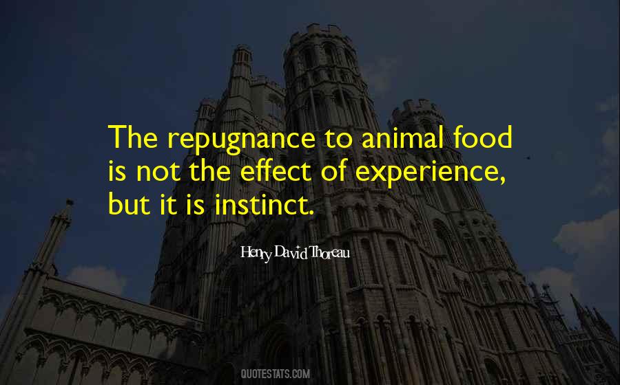 Food Experience Quotes #1551028