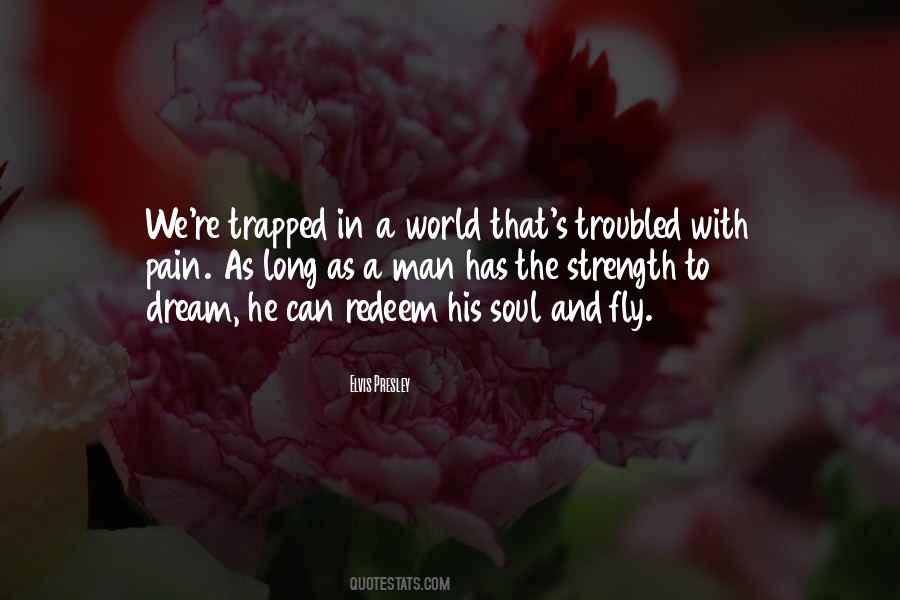 Dream To Fly Quotes #1664119