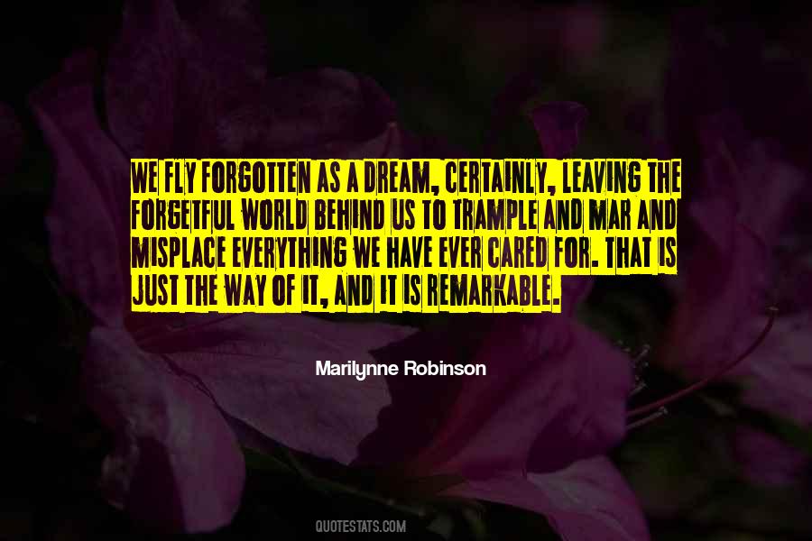 Dream To Fly Quotes #1779402