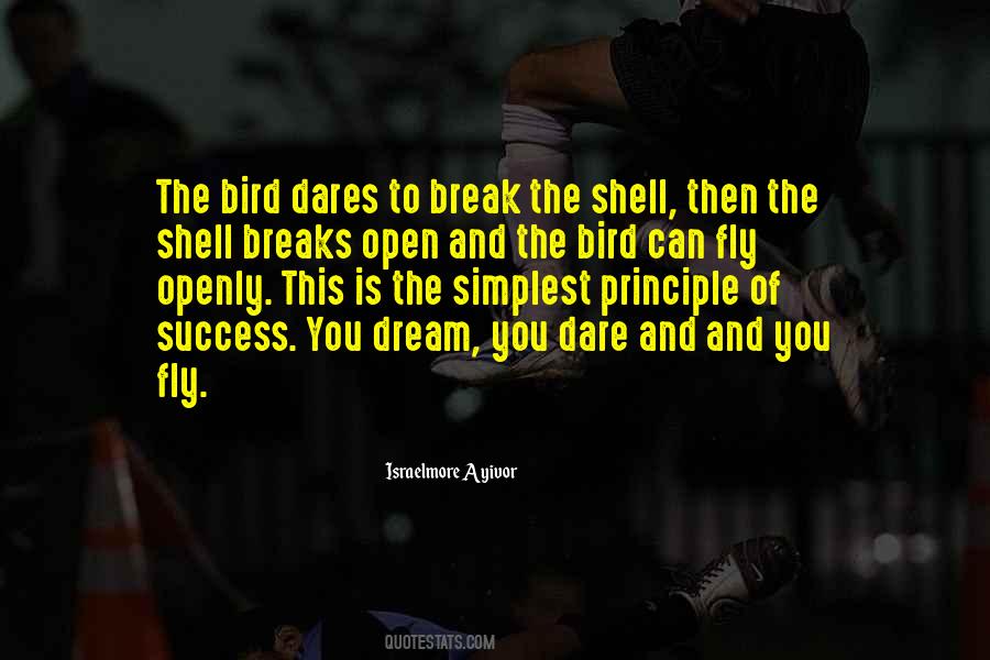 Dream To Fly Quotes #374762