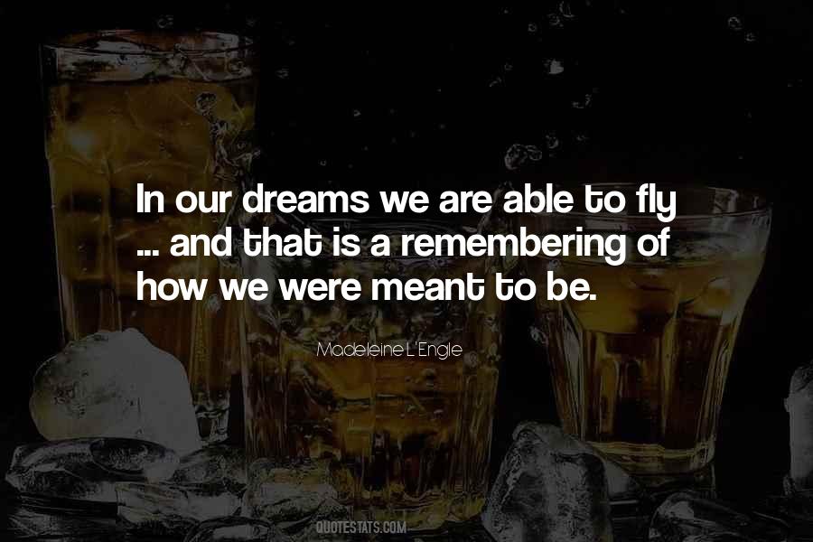Dream To Fly Quotes #675665