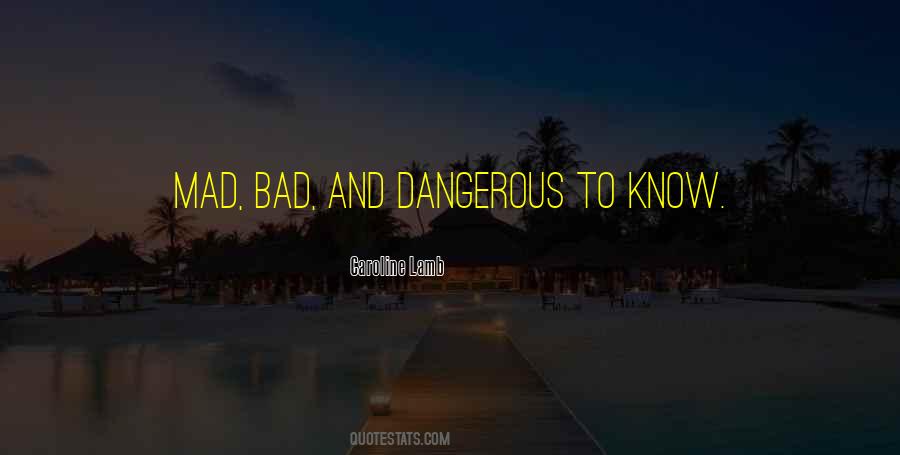 Mad Bad And Dangerous To Know Quotes #1738408