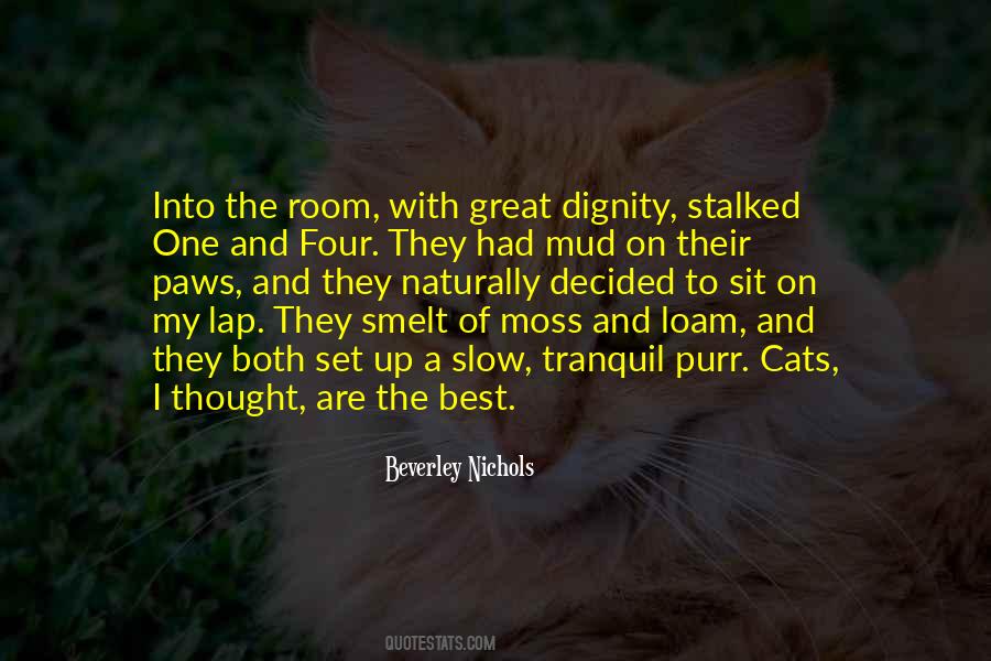 The Room Best Quotes #1239267