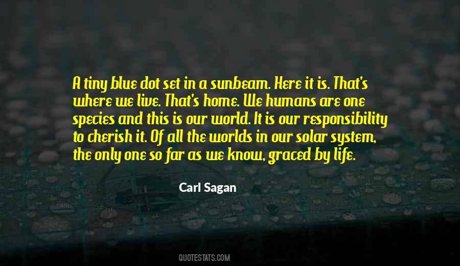 Carl Sagan Sunbeam Quotes #1718184