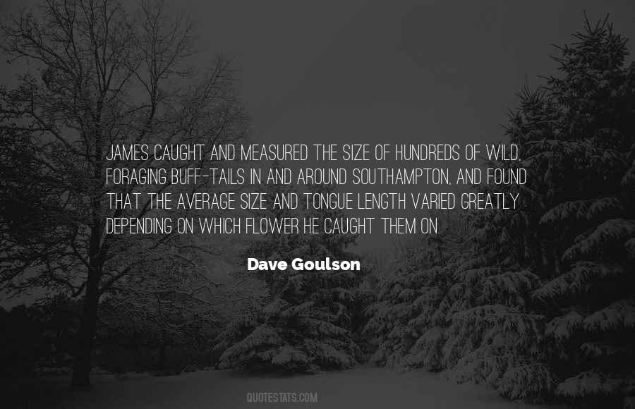 Comfy Clothing Quotes #570841