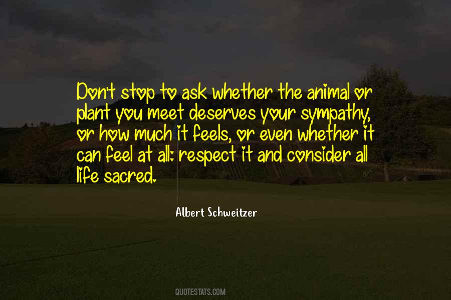 Deserves Respect Quotes #885841