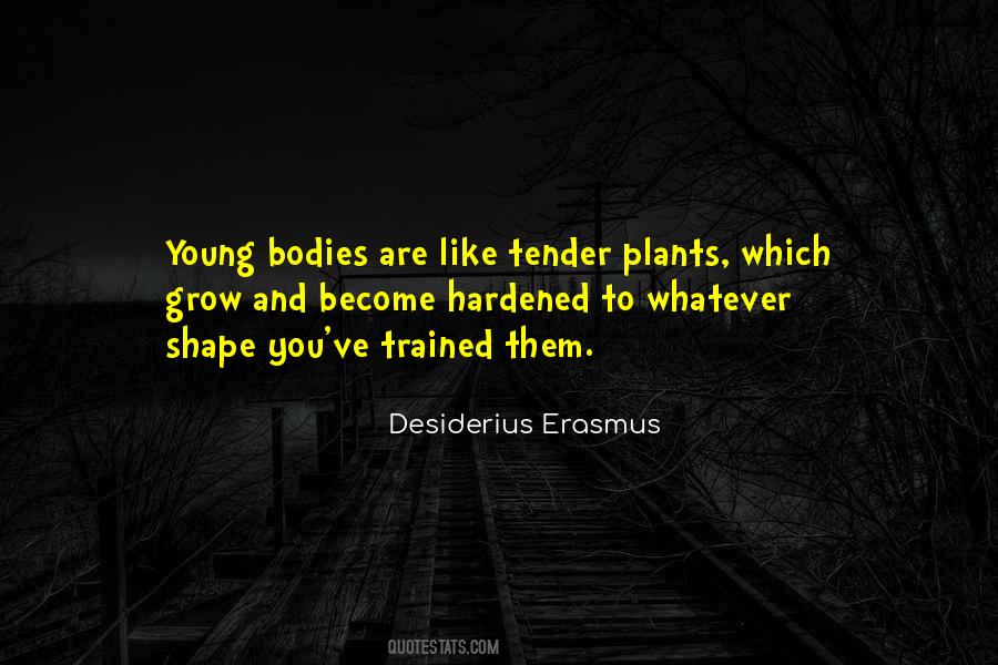 Desiderius Quotes #588693