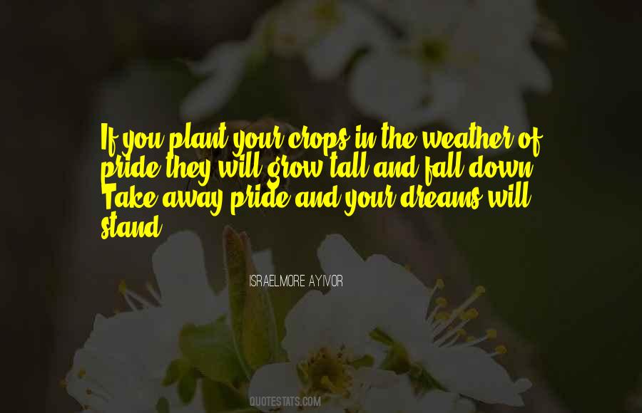Take Your Stand Quotes #974270