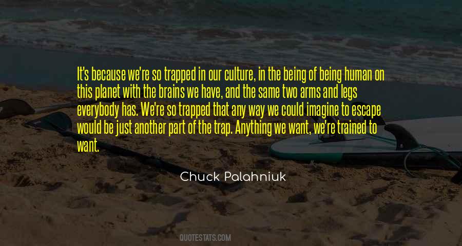 Just Want To Escape Quotes #1673810