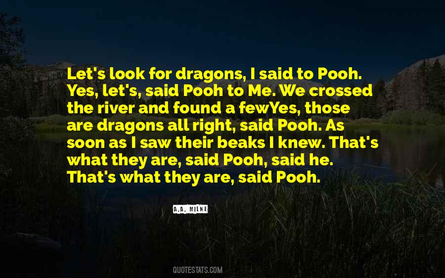 The Pooh Quotes #40444