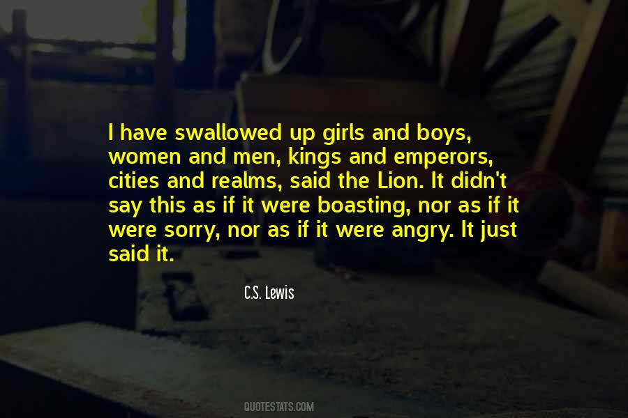 Sorry Angry Quotes #1507097