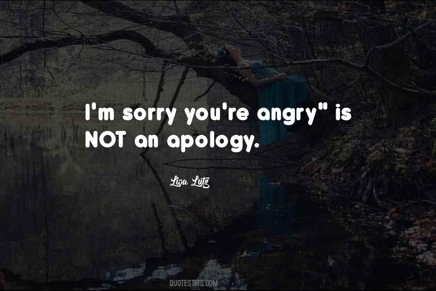 Sorry Angry Quotes #88058