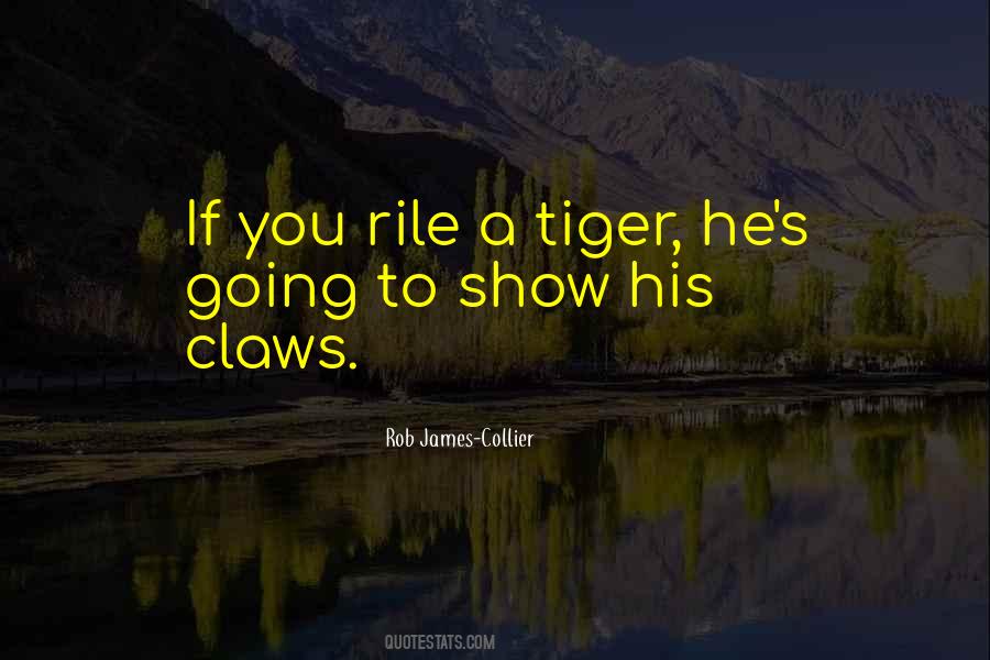 Christmas Carol Fire Quotes #367550
