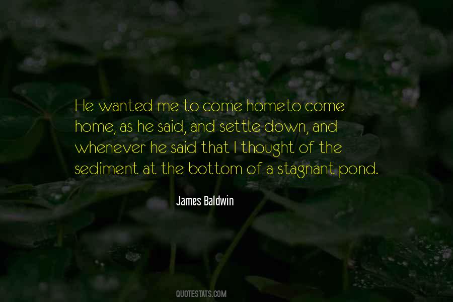 I Want To Settle Down With You Quotes #56502