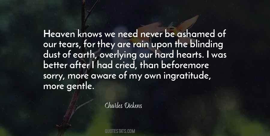 Better Than Sorry Quotes #780750