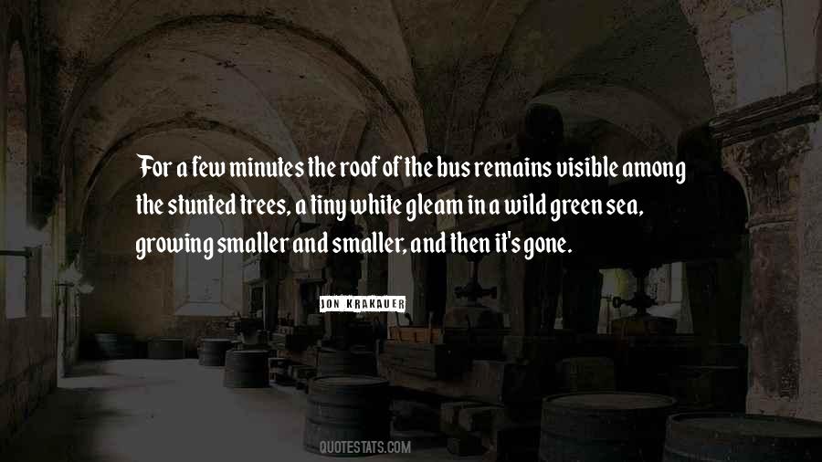 Into The Wild Bus Quotes #1193861