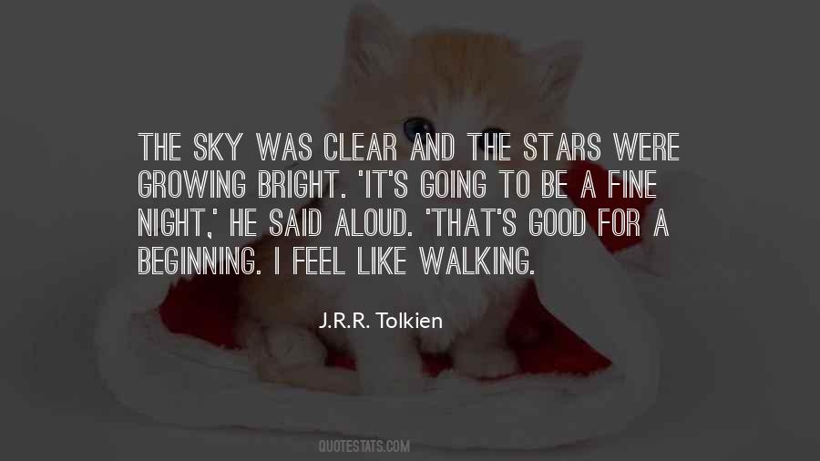 Quotes About The Night Sky Stars #56717