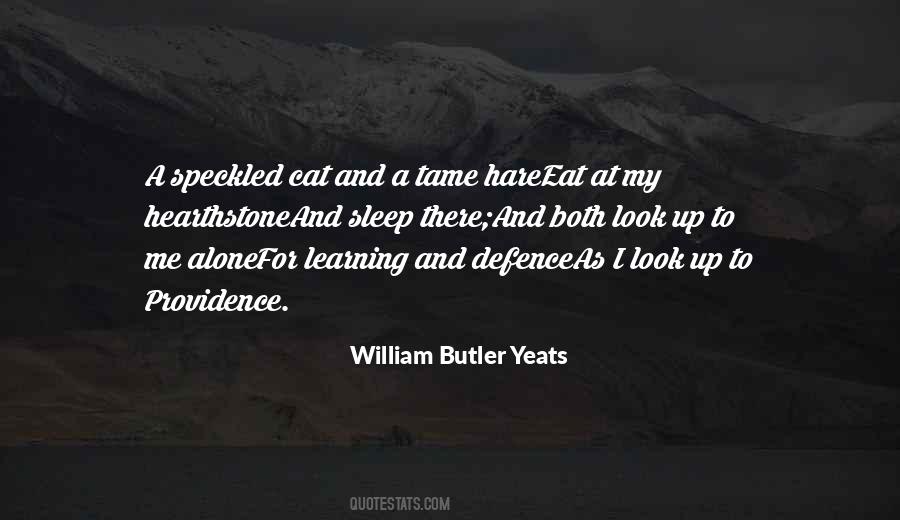 I Eat Alone Quotes #442373