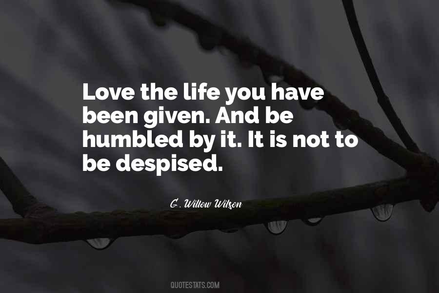 Despised Love Quotes #64197
