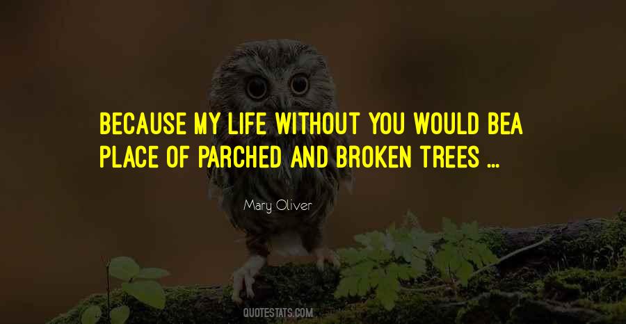 Trees And You Quotes #1073391