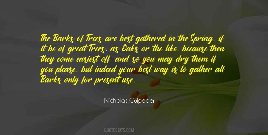 Trees And You Quotes #568623