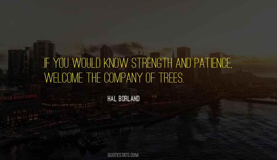 Trees And You Quotes #903633