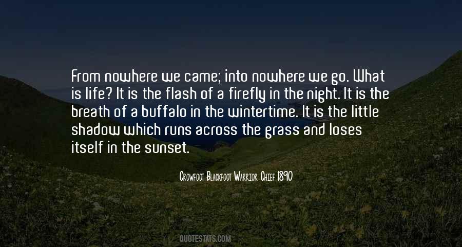 Grass Inspirational Quotes #1483153