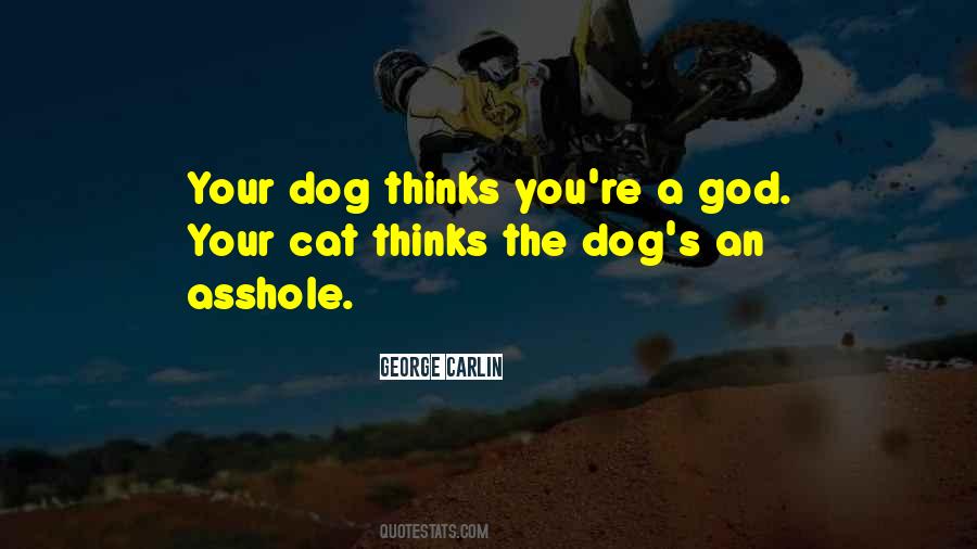 Dog Thinking Quotes #1599169