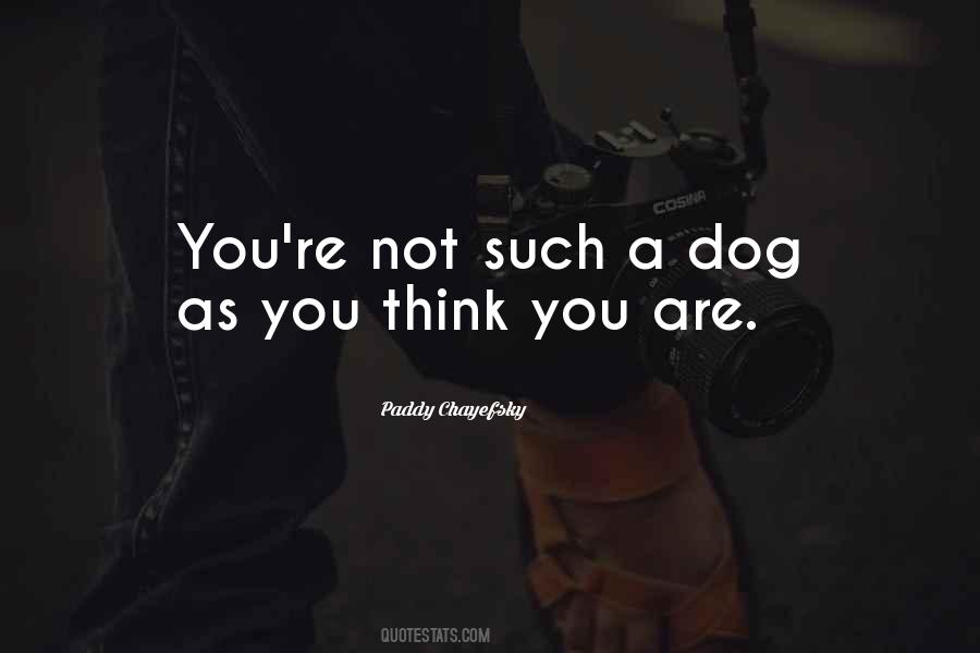 Dog Thinking Quotes #410674