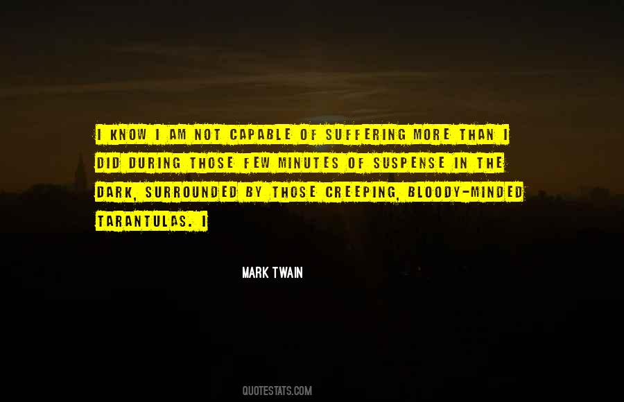I Am Not Capable Quotes #540888