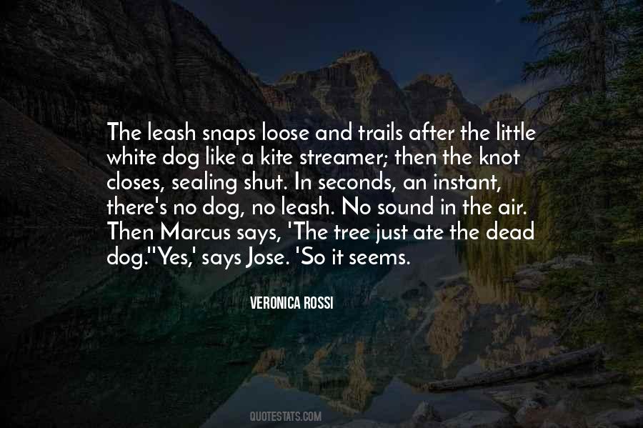 Quotes About A Dead Dog #1046227