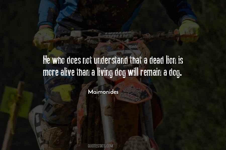 Quotes About A Dead Dog #1501527