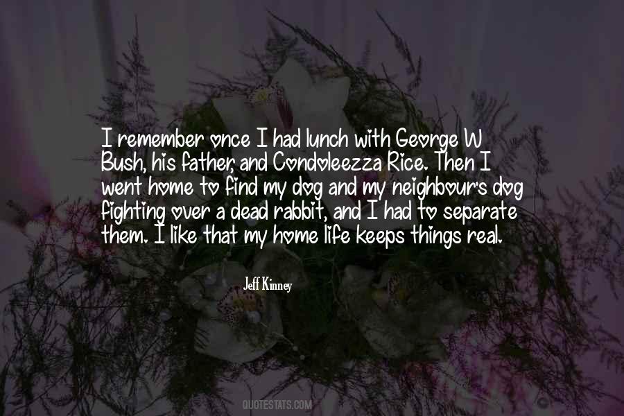 Quotes About A Dead Dog #1637625