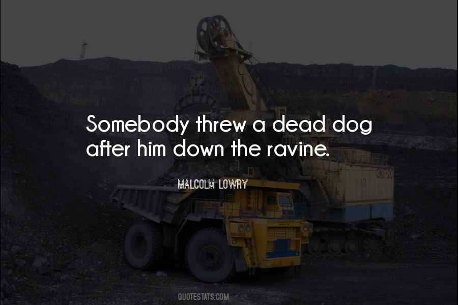 Quotes About A Dead Dog #1770369