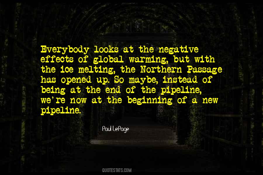 The End But A New Beginning Quotes #1509455