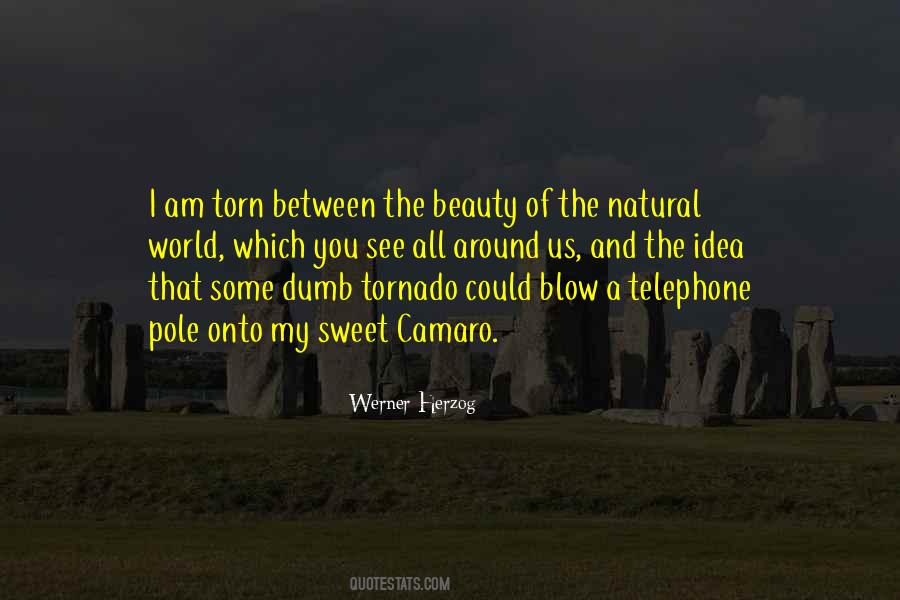 There Is Beauty All Around Us Quotes #363402